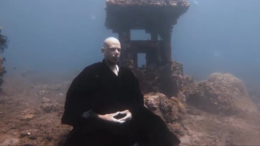 Underwater barefaced monk in sea