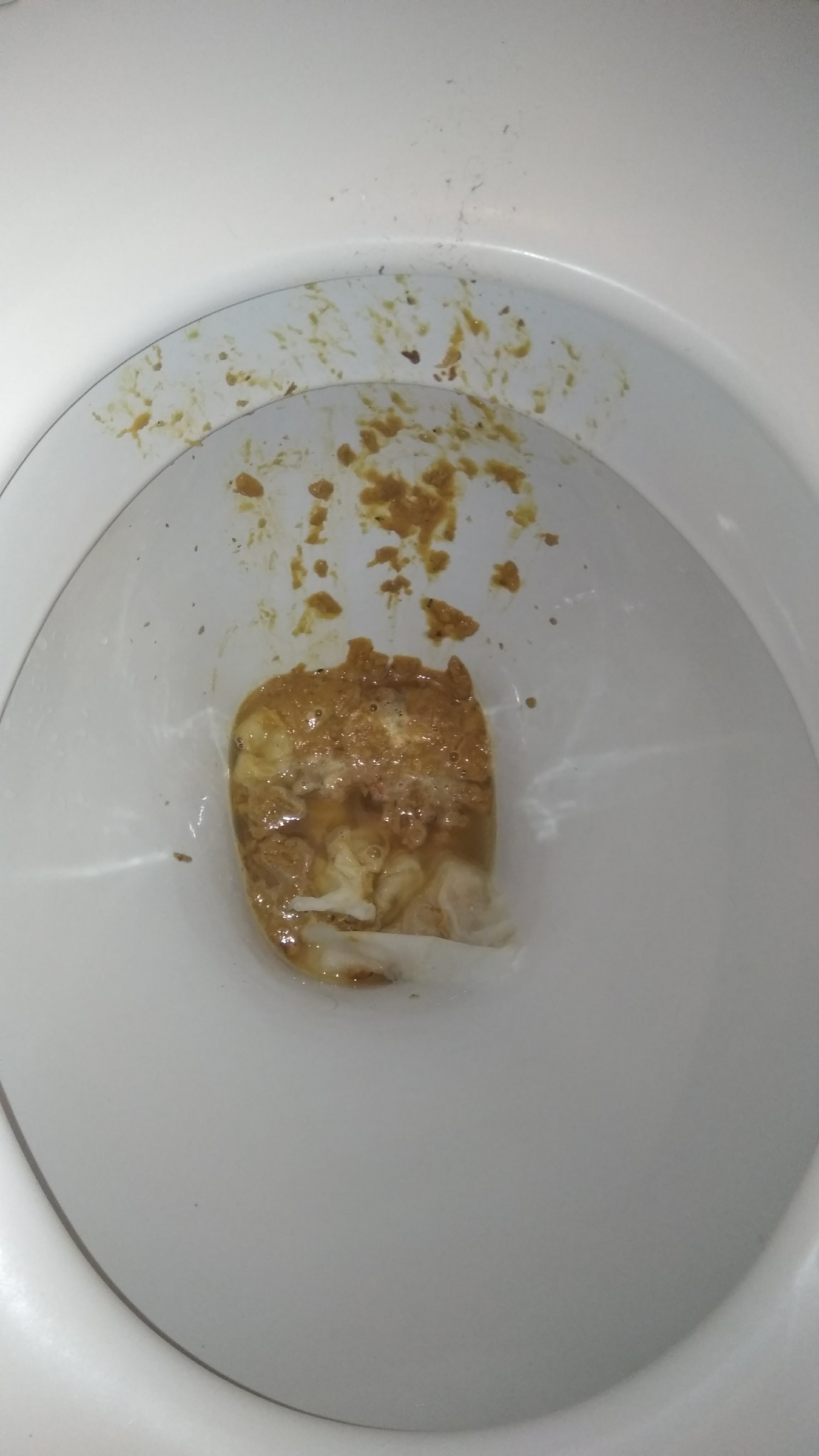 Very loose and sloppy Monday morning shit on my mates toilet