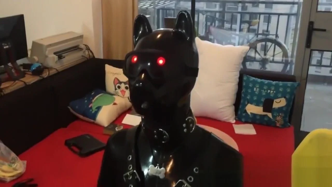 Drone latex pup - ThisVid.com