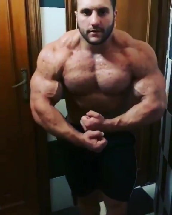 Roided Musclebull Kevin R