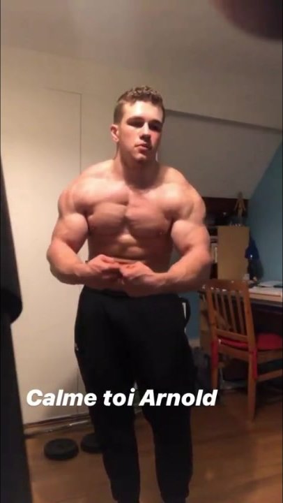Young Musclebull Amaury Patte