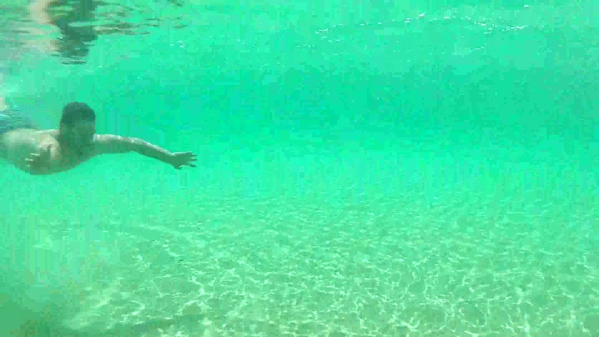 Bearded cutie barefaced underwater in sea - video 2