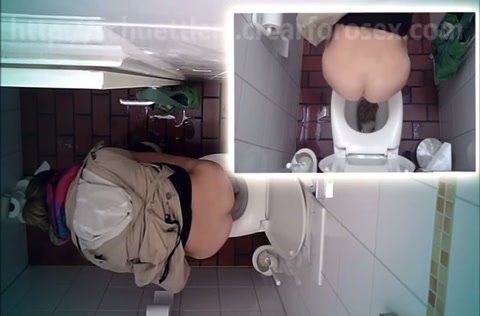 Nice girl shits in public toilet
