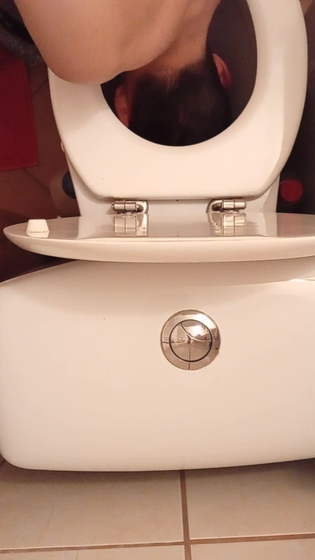 Toilet cleaning slave