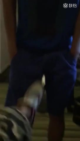 kick in dick