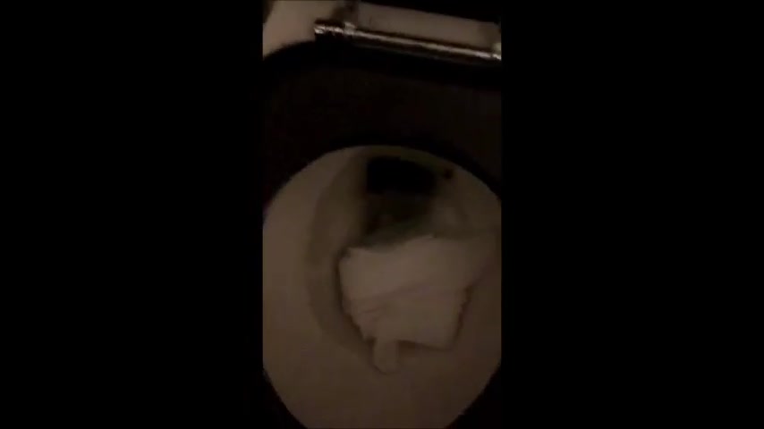 Girl Taking A Runny Shit In The Toilet