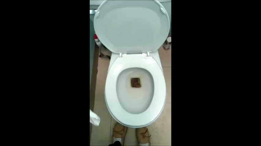 Girl Drops A Thick Log In The Toilet