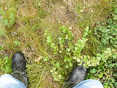 Small birch against rubber boots