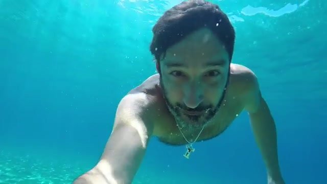 Bearded cutie swimming barefaced underwater