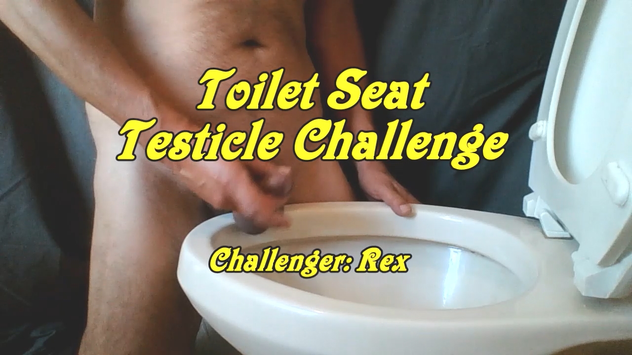 Toilet seat challenge: challenger Rex