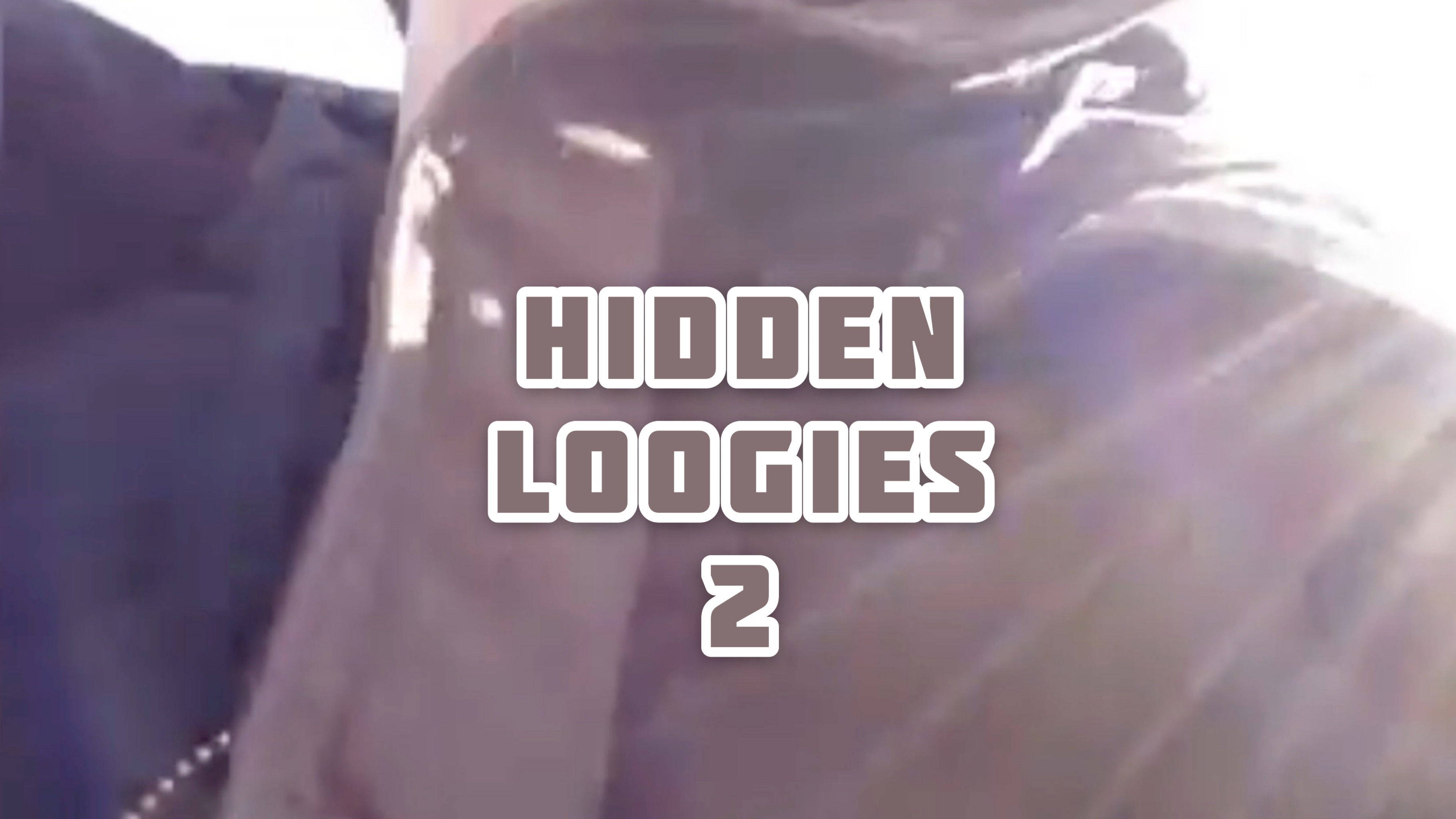 Hidden Loogies 2