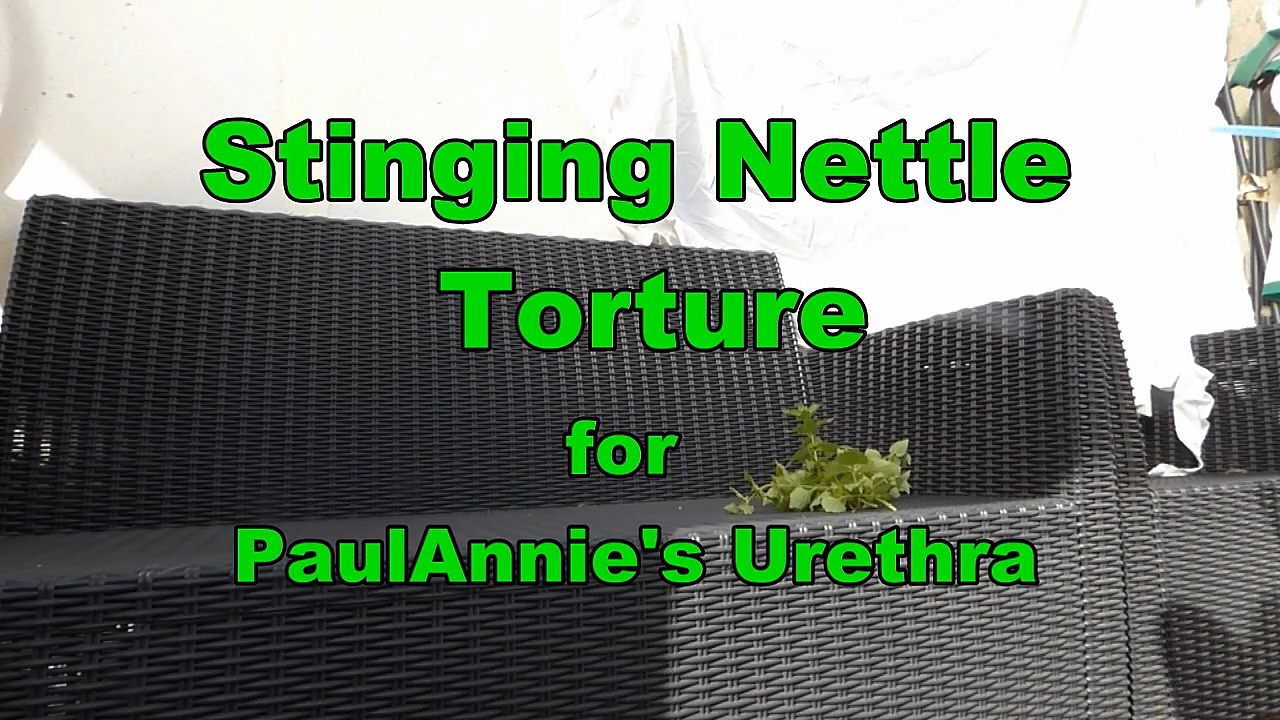 Paulannie's stinging nettles urethra vase