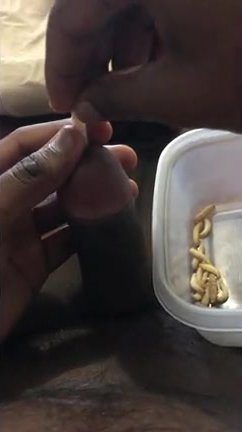 20 Wax worms