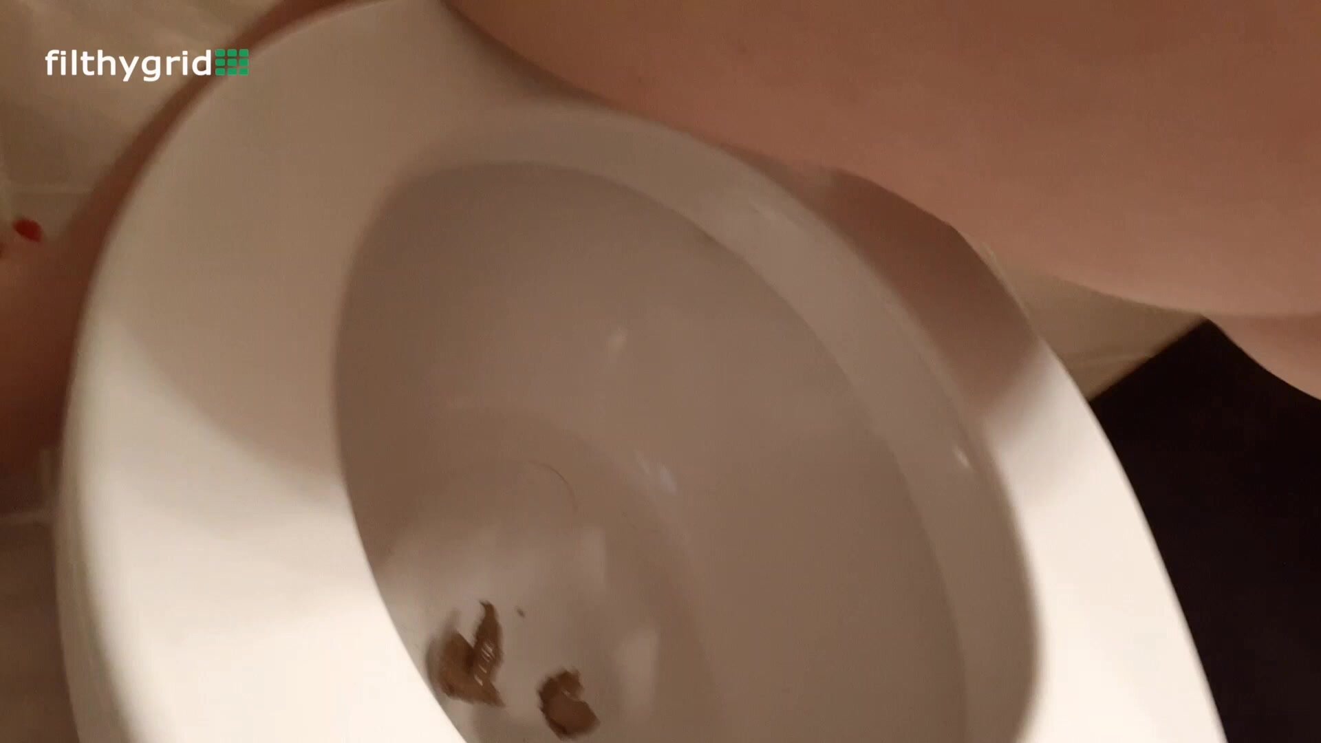 Poop on the seat