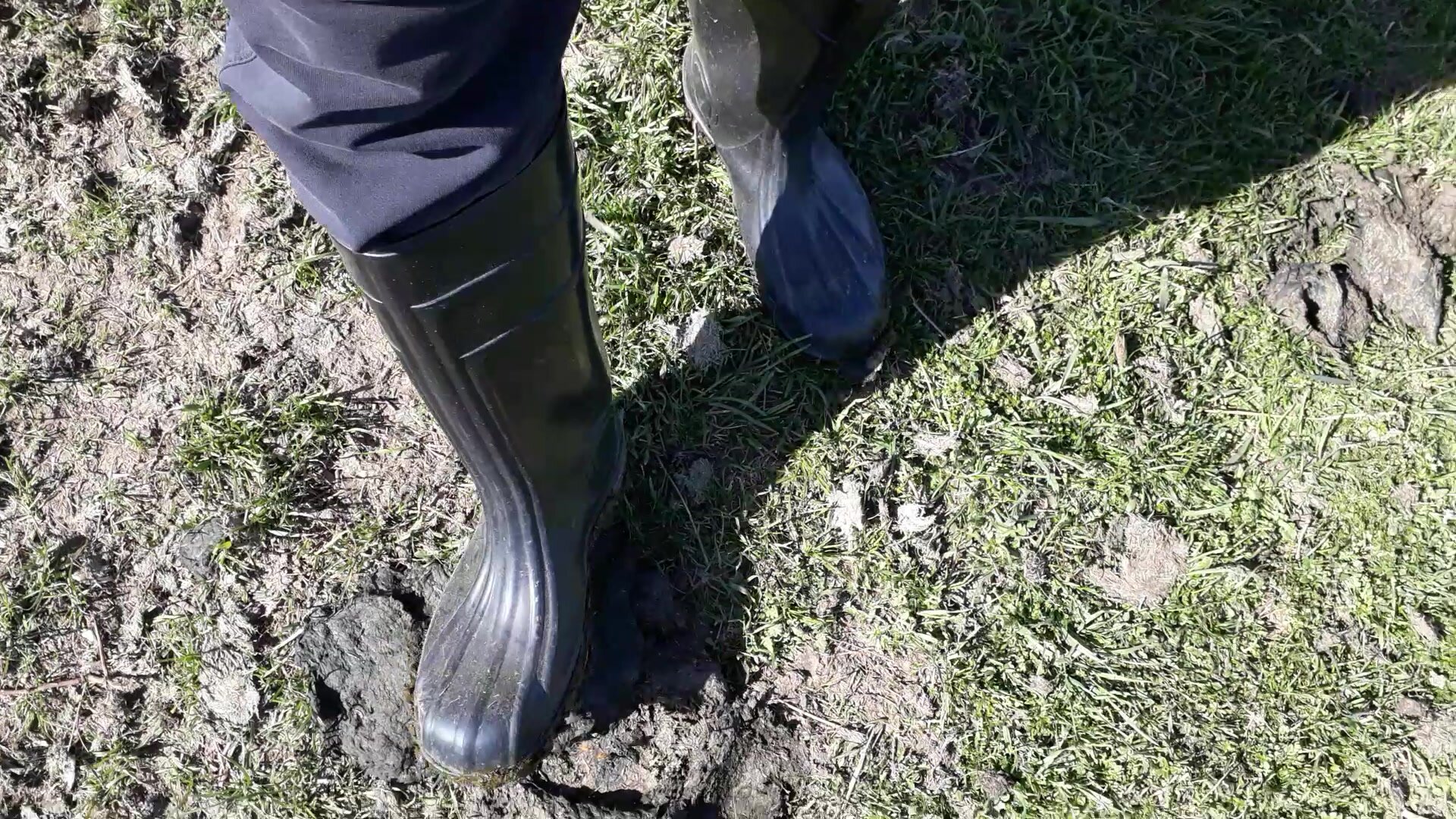 Rubber boots vs cowshit - video 30