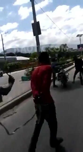 Thief gets paraded like a horse