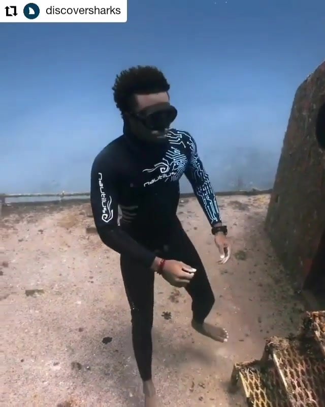 Underwater in wetsuit with sharks