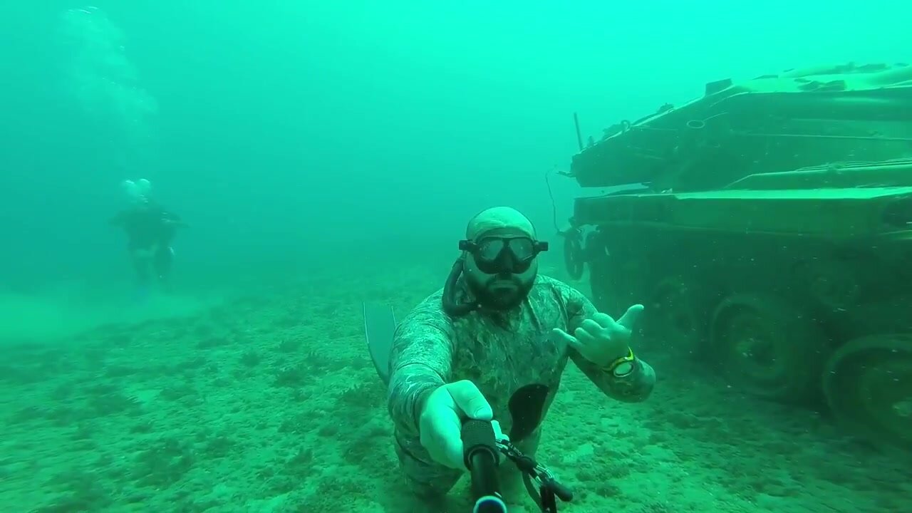 Underwater Bear Freediving
