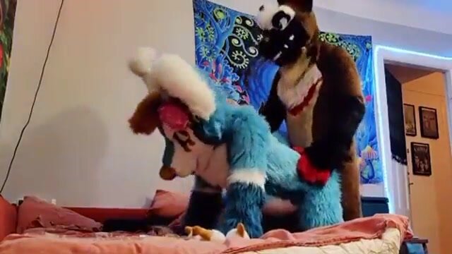 Two cute dogs having a great time :)
