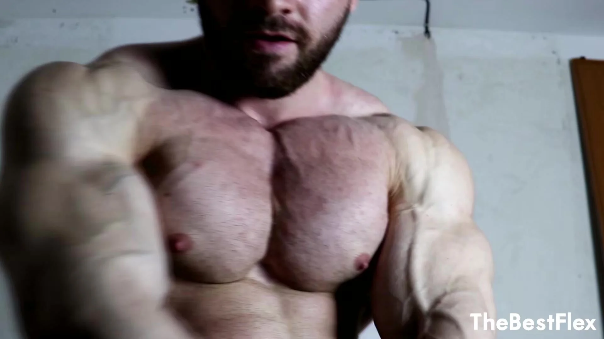 Muscles and dicks: Bogdan Flexing - video 2 - ThisVid.com