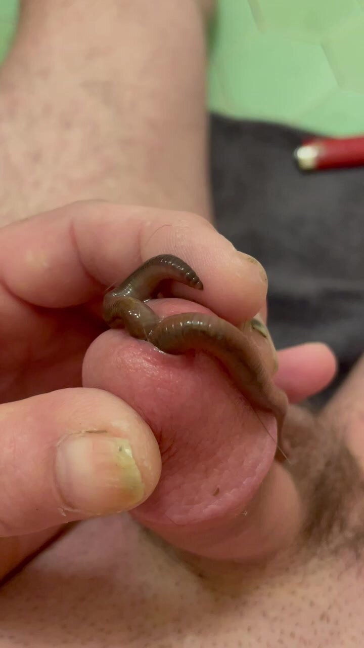 Worms in my cock