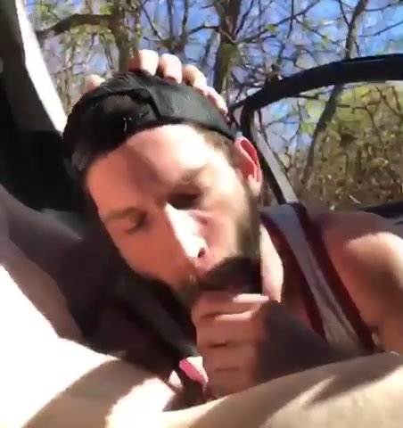 Sucking dick in parked car