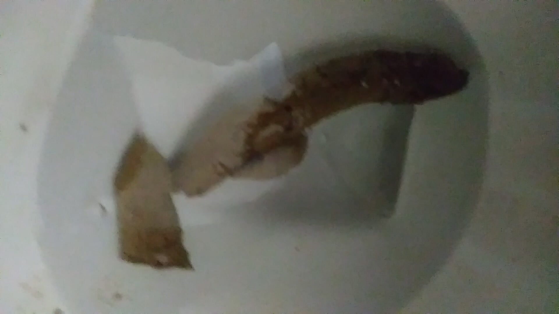 Toilet Tail Shit IX