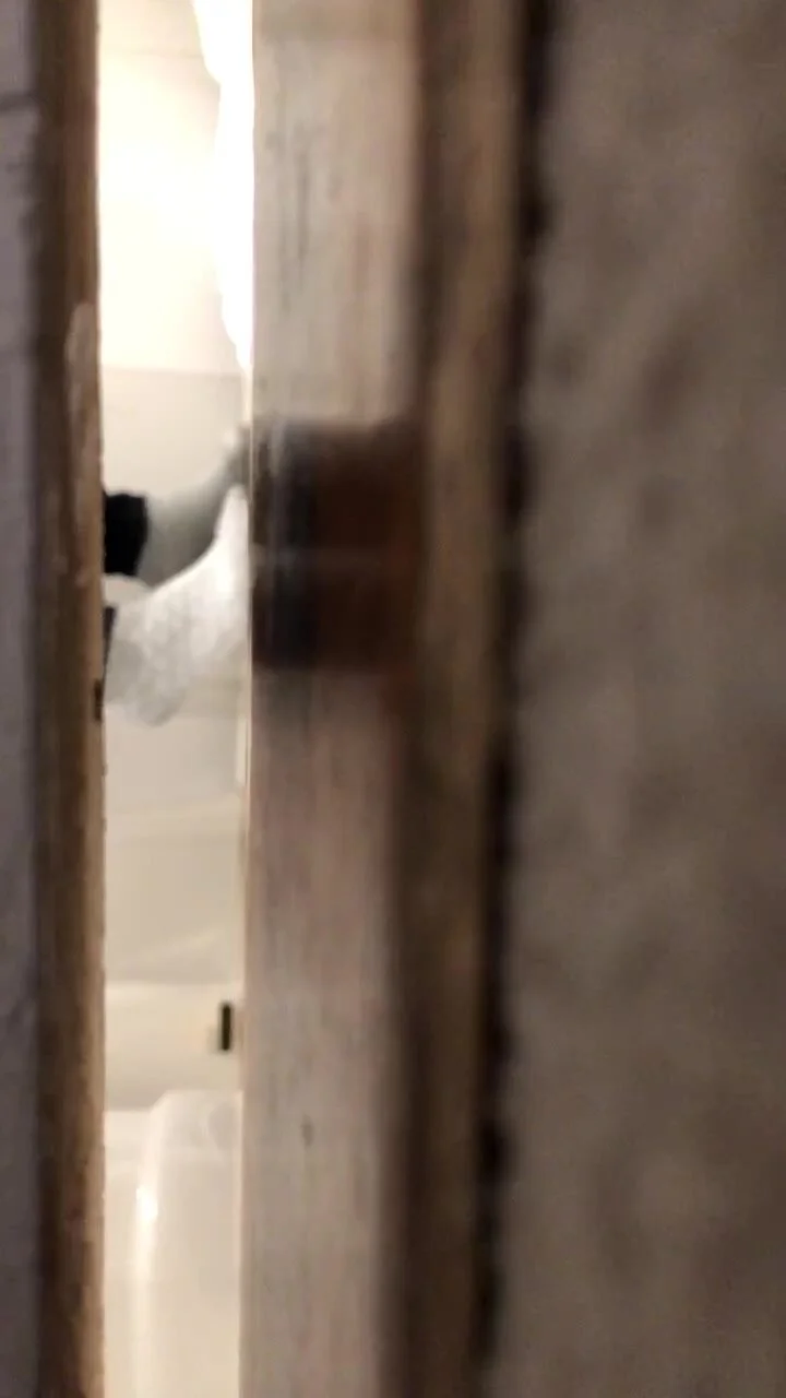 Nasty wc up skirts: Hotel pooping again - ThisVid.com
