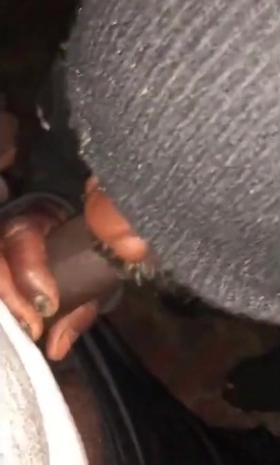 homeless sucking cock - video 2