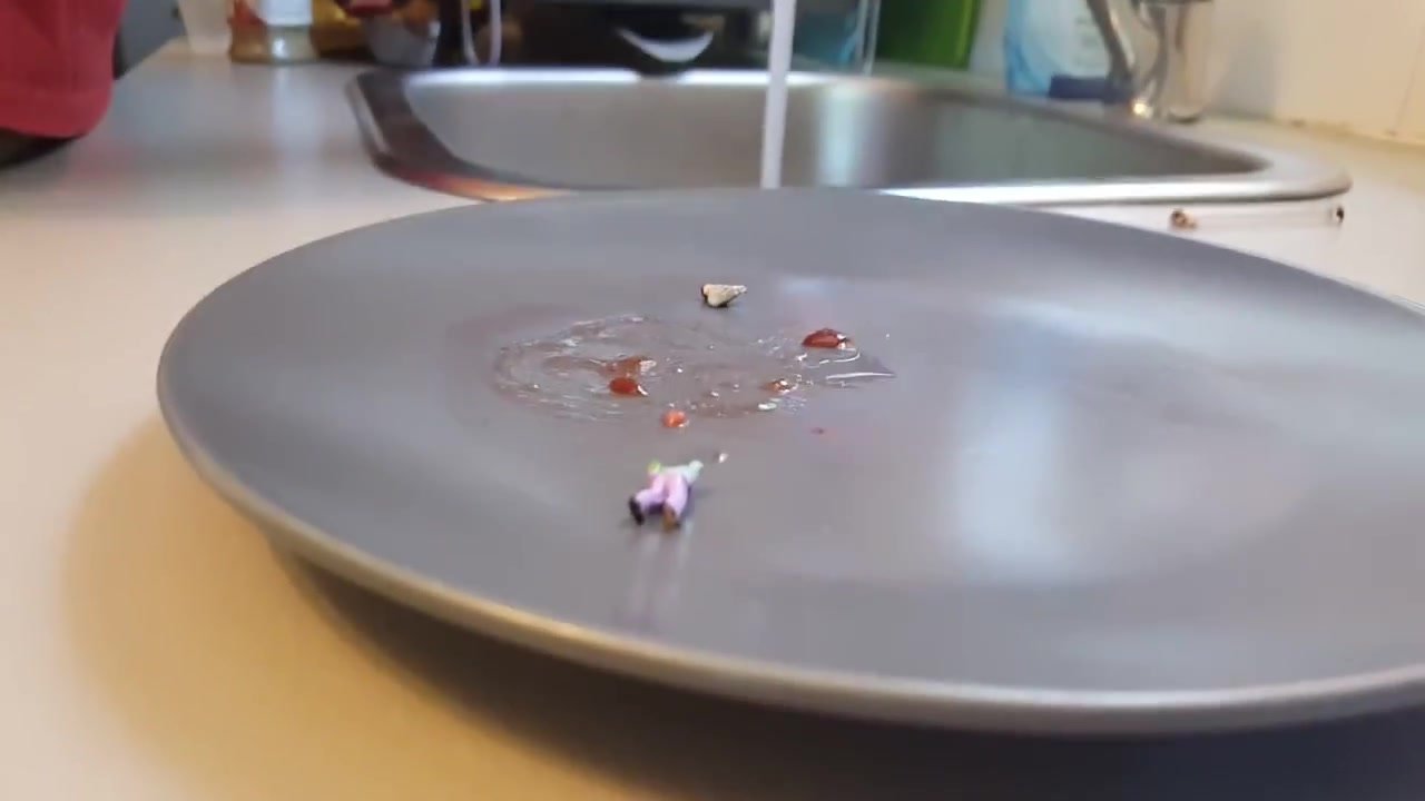 The Aftermath.