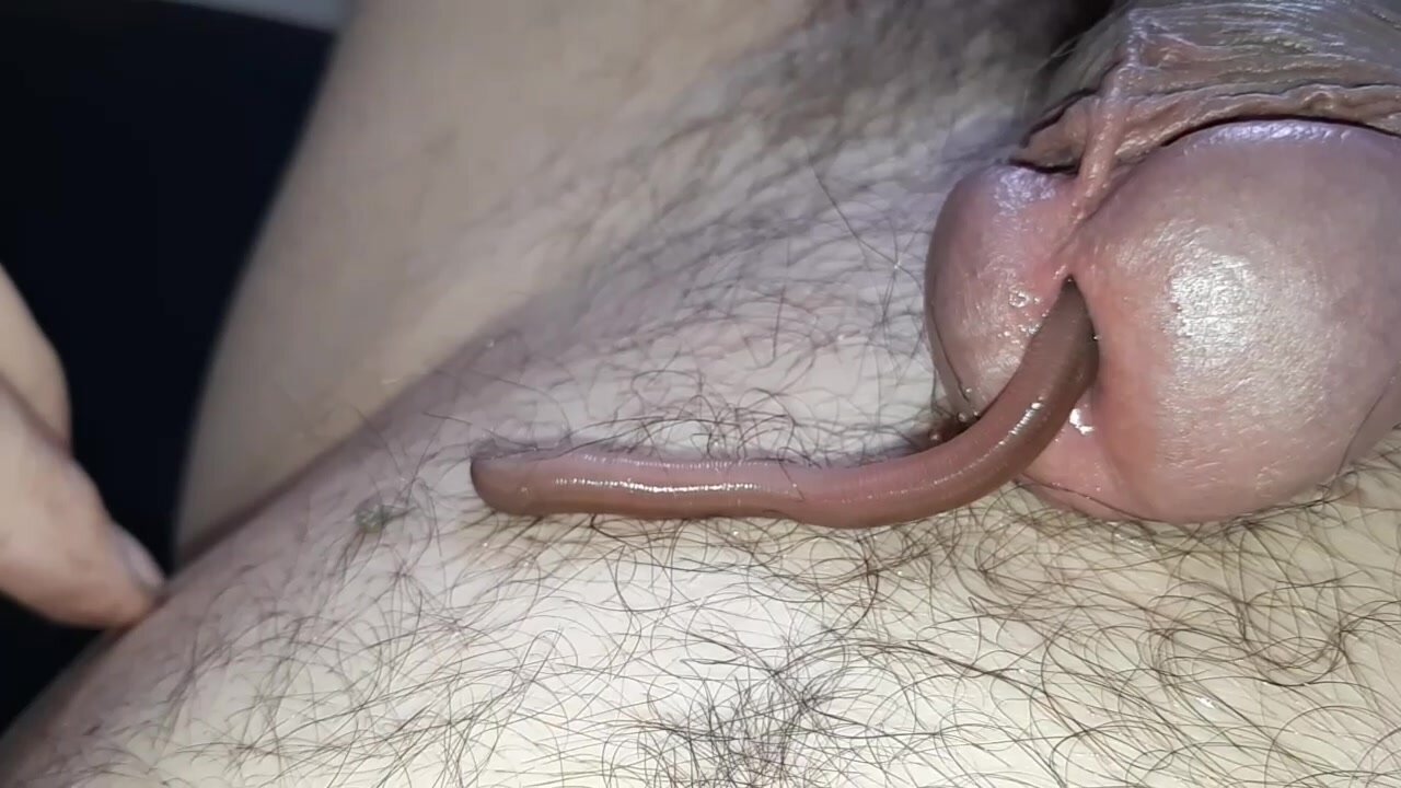 Worms in cock