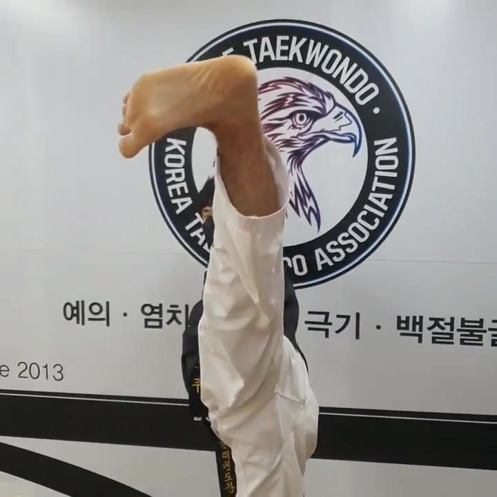 Taekwondo stick your kick