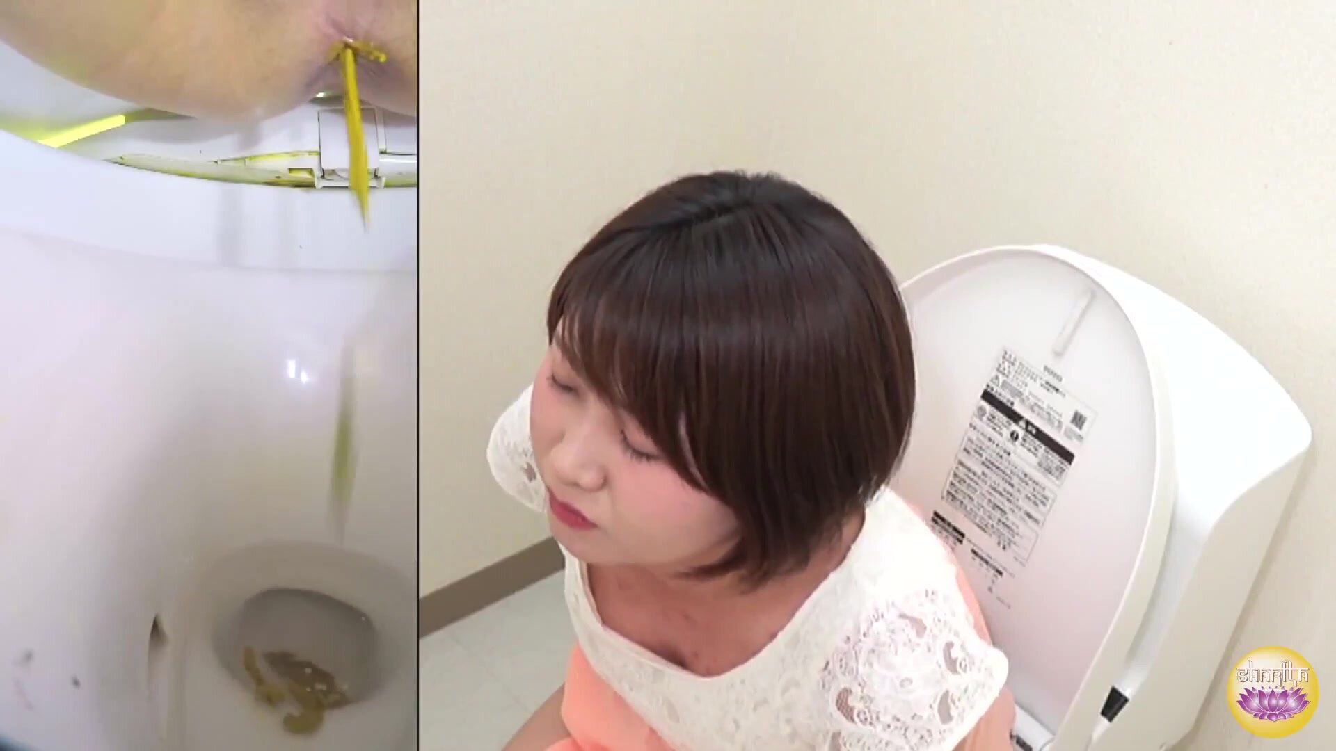 Japanese office lady poop