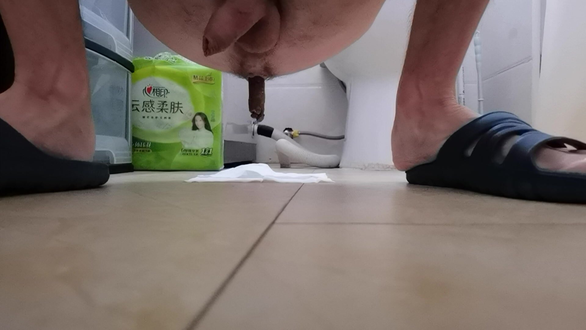 Good morning poop - video 2
