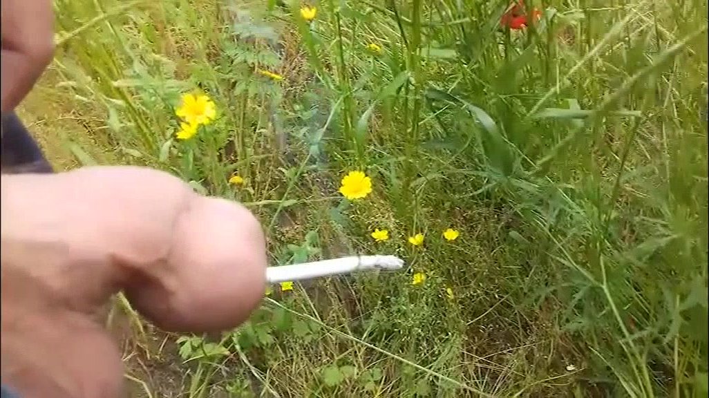 walking and smoking alone in fields