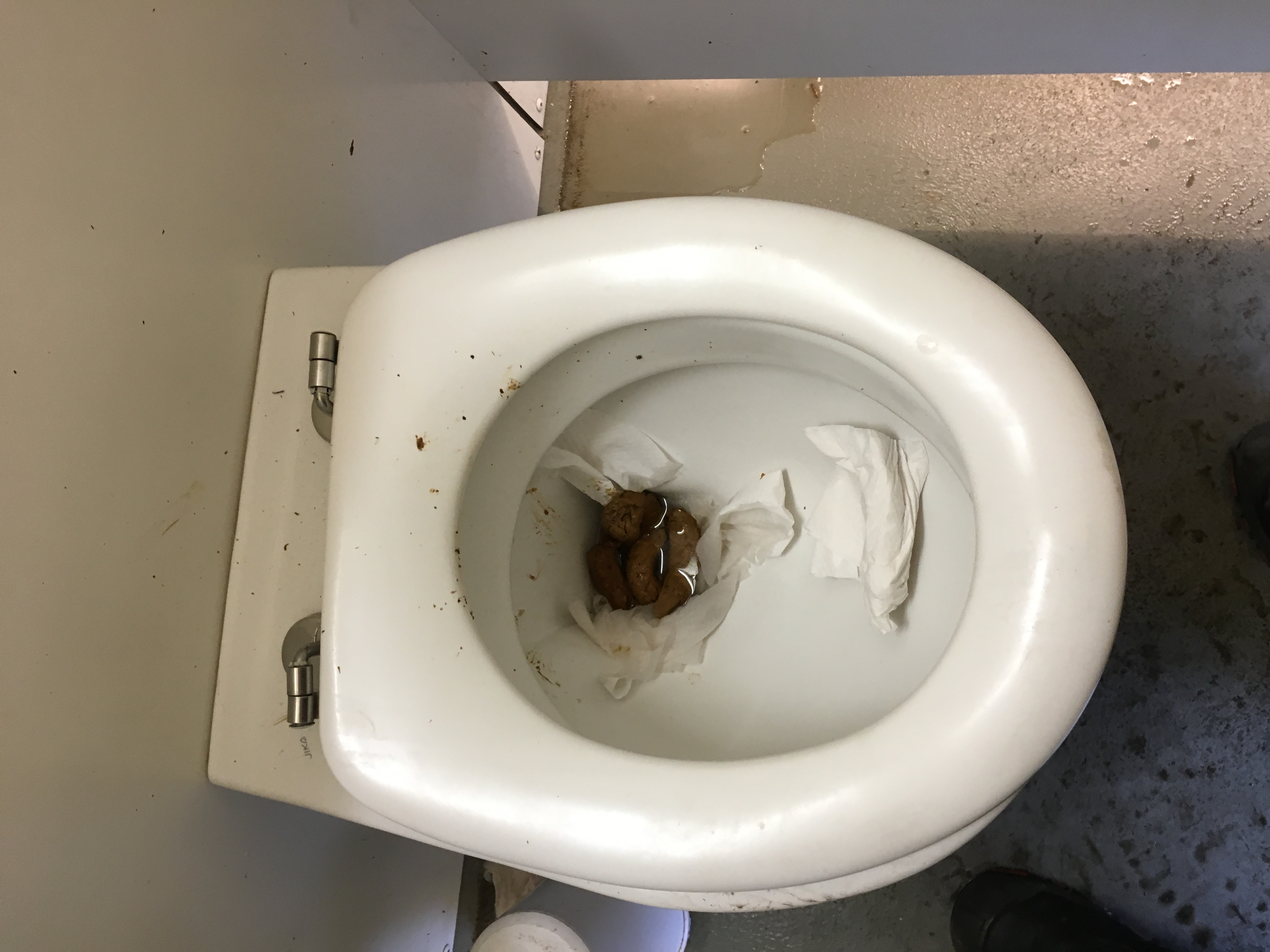 Morning shit on public toilet before work 09/29/2017