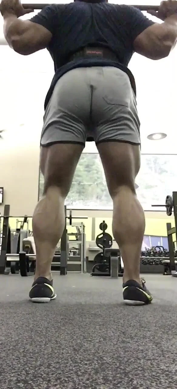 Gym muscle squat - ThisVid.com