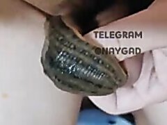 Slug inside penis