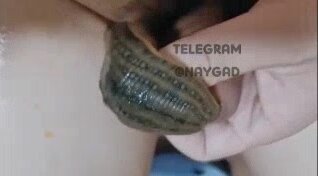 Slug inside penis