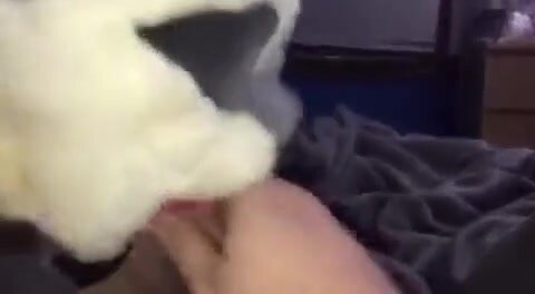 Cumming inside Meeko\