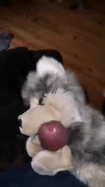 Wolf Puppet Facial