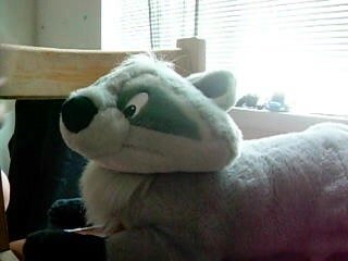 Meeko\