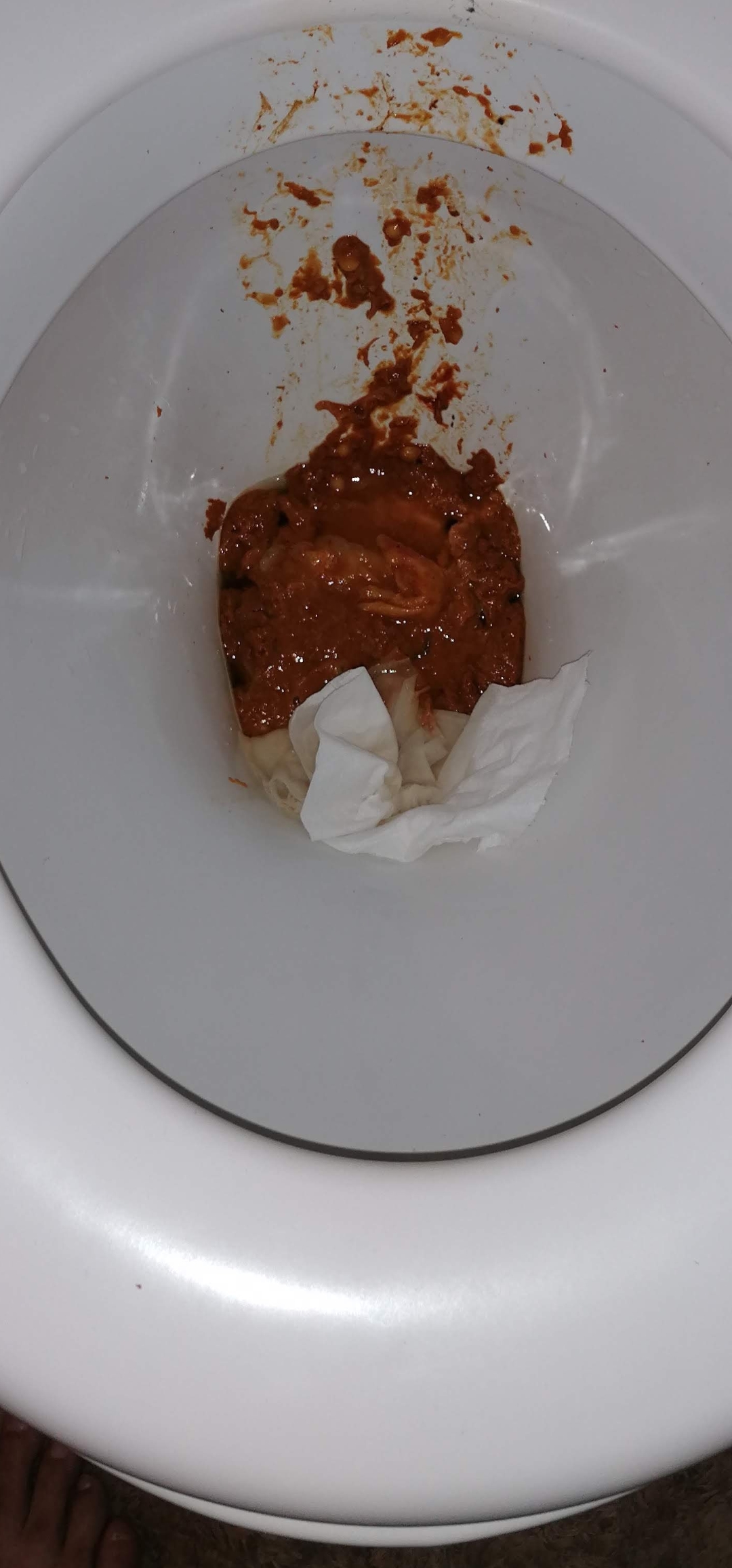 Very badly needed stomach ache shit on mates loo in the early hours just