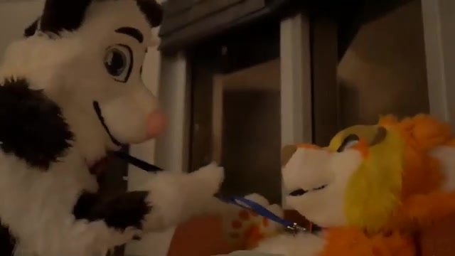 Straight Furry Porn Fursuit - Straight Fursuit Sex - ThisVid.com