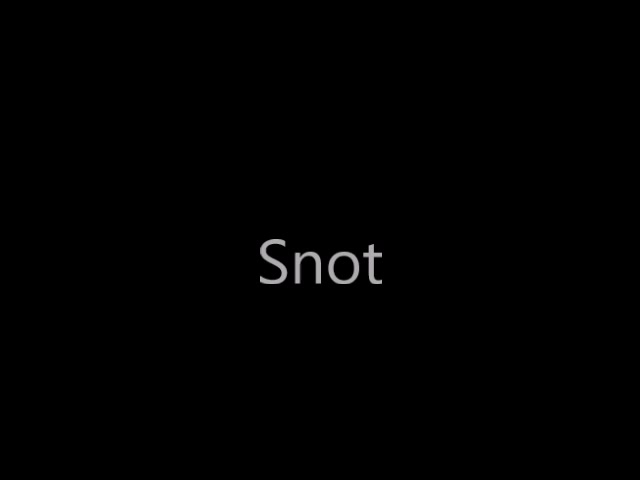 Snot 1 - video 2