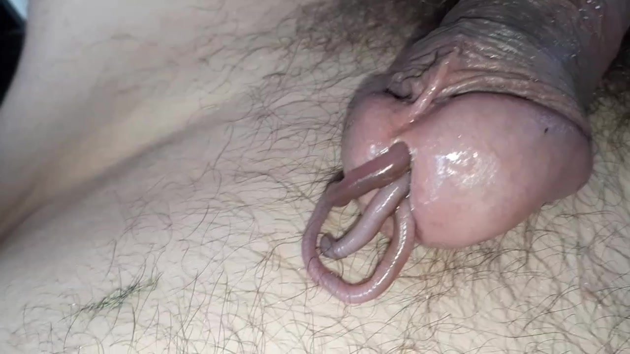 3 worms in my cock