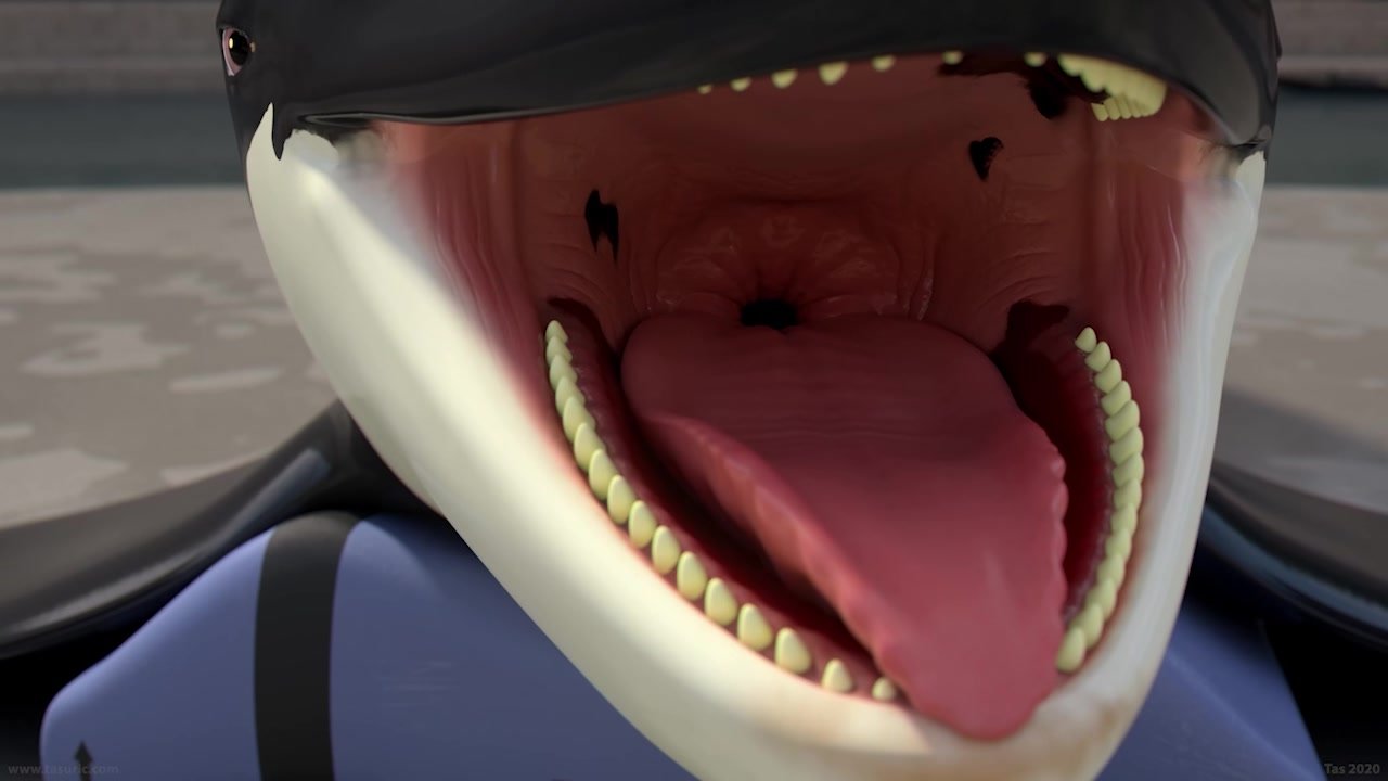 Orca Vore Animation (Not Mine)