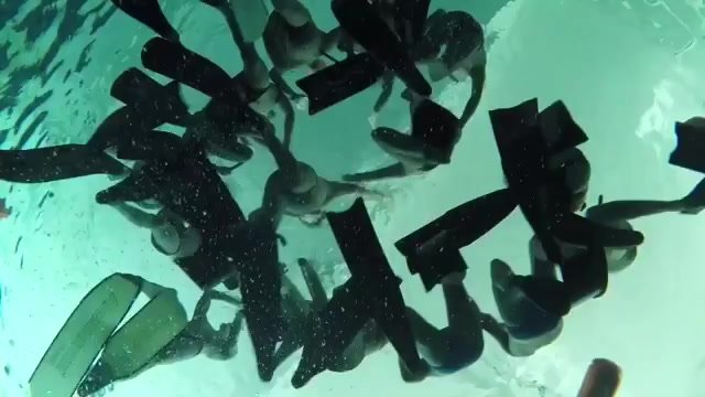 Italian freedivers underwater in bulging speedos