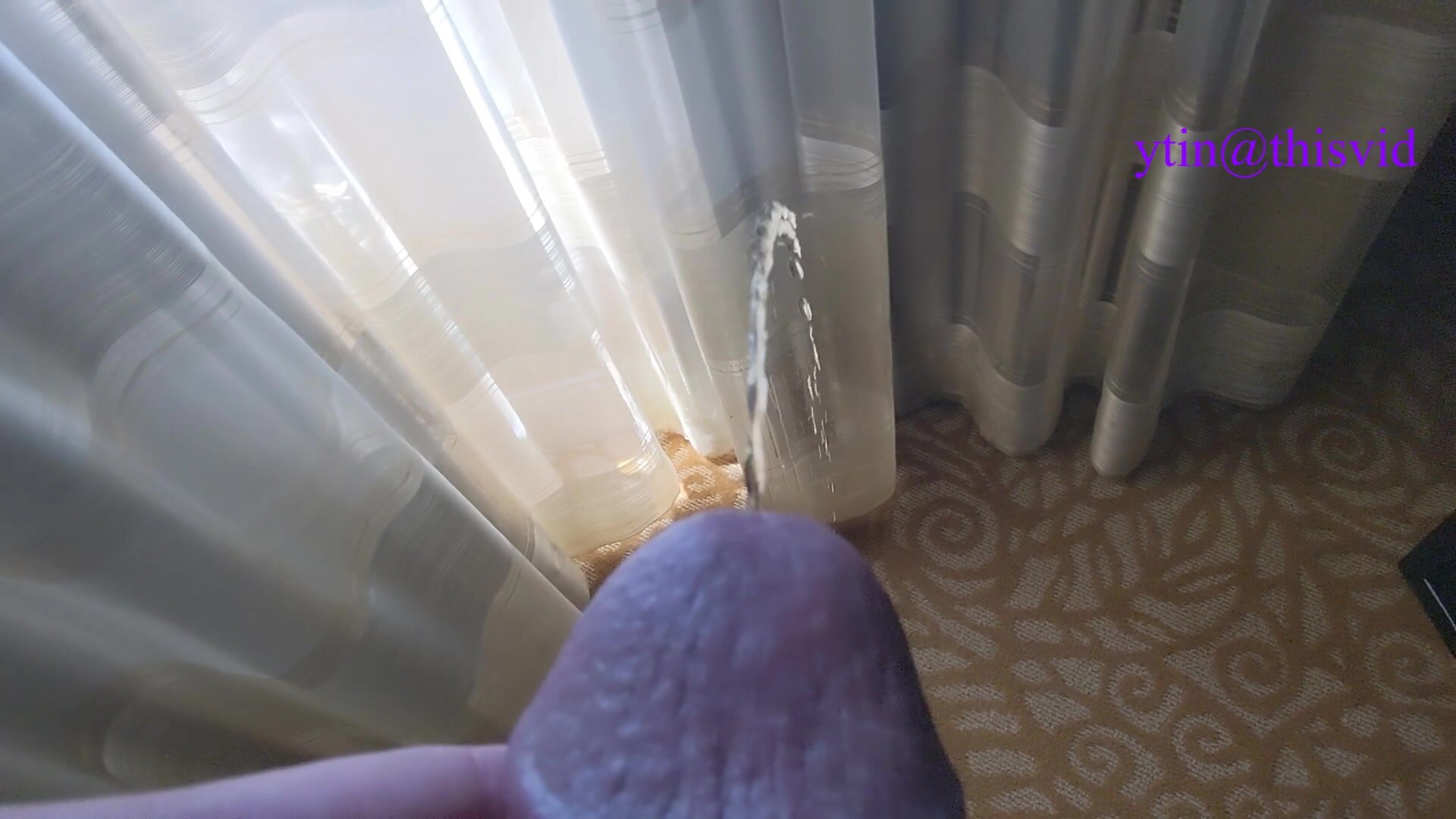 Hotel Curtains Piss