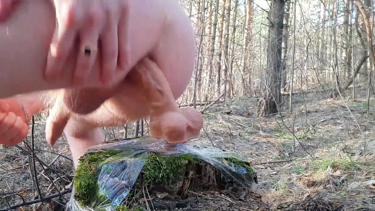 russian forest adventure
